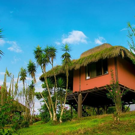 Arasha Resort & Spa Педро-Висенте-Мальдонадо Экстерьер фото